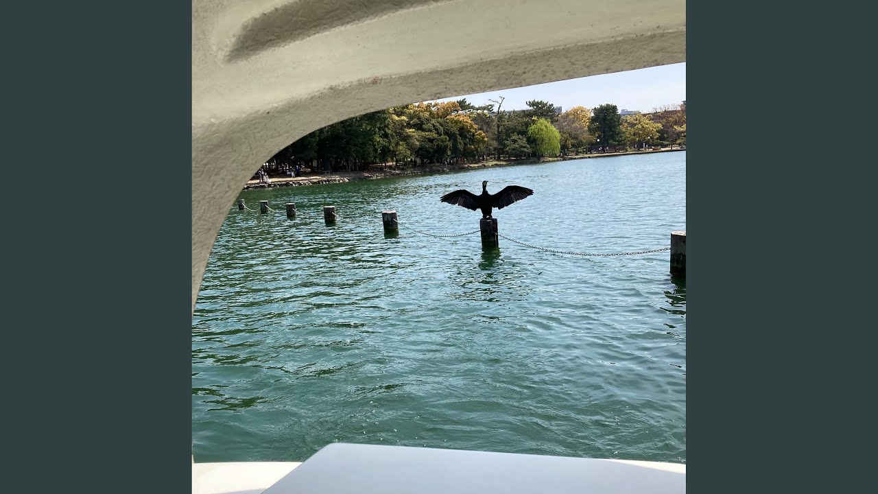 Sakaeta machi no (Live) - YouTube