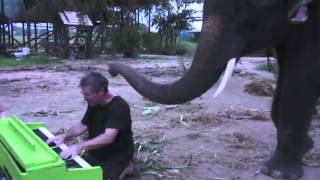Elephant Plays Piano