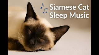 Siamese Cat Sleep Music – Gentle Sounds for Peaceful Rest (1 Hour)