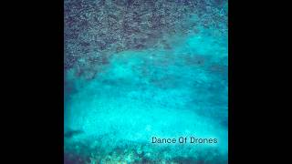 Bee Resort - Dance Of Drones (full album)