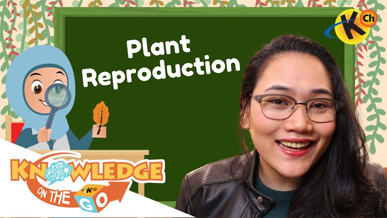#QuizTime: Plant Reproduction | Knowledge On the Go - YouTube