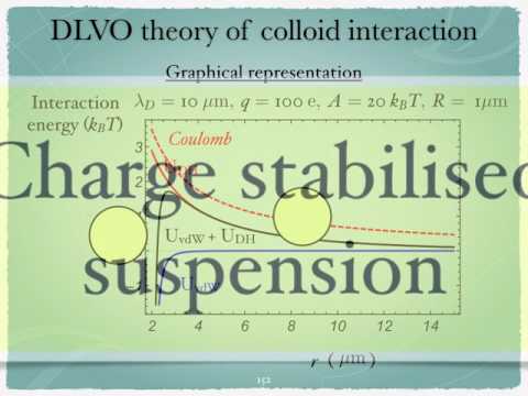 Introduction to the physics of colloids: DLVO theory