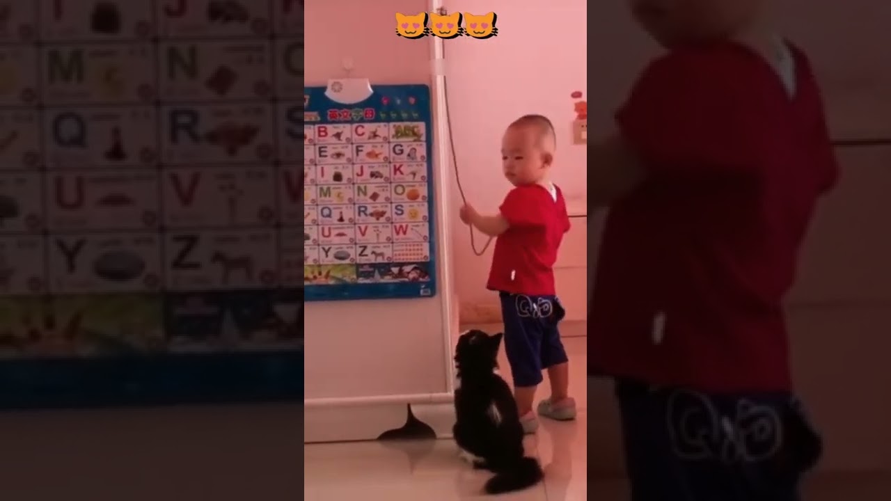 Cute Cat | The Cute Cat Took Off The Plug But The Child Could Not | 
