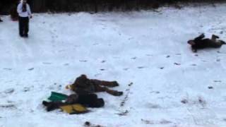 Redneck Sled Race