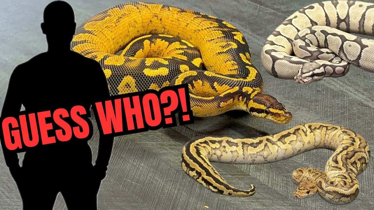 I Can't BELIEVE I Got To Film This!!  EXCLUSIVE!!!