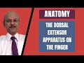 Lectures  gk hand surgery the dorsal extensor apparatus  simplified and discussed