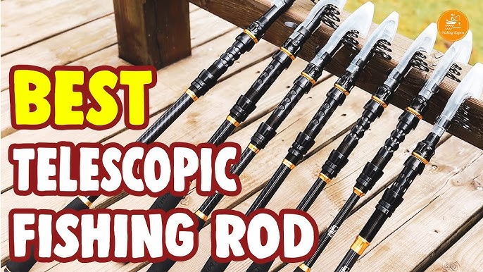 Top 10 Best Pen Fishing Rods Review in 2024 