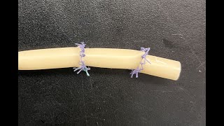 Robot-assisted end-to-end vascular anastomosis simulation (DaVinci)
