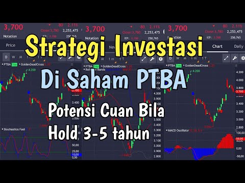 Inilah strategi investasi saham PTBA hold 3-5 tahun ??!!