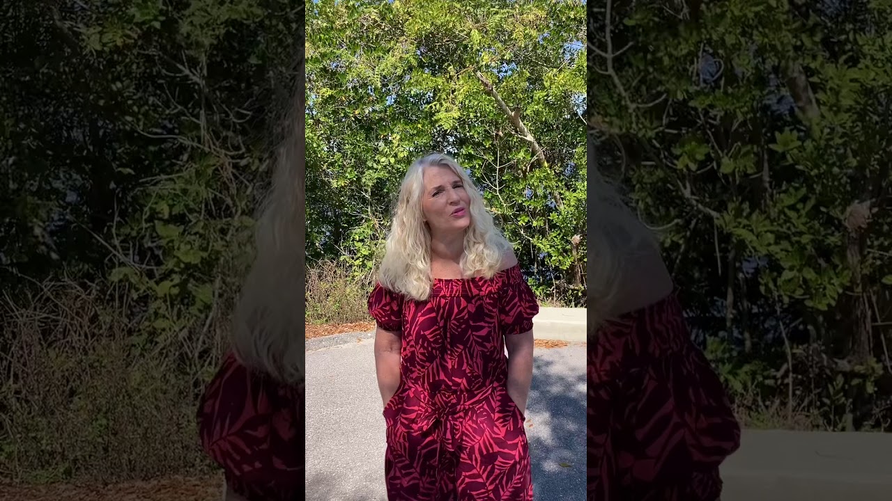 Port Charlotte, Fl Laurie Houghton MVP Realty Associates- Real Estate Professional