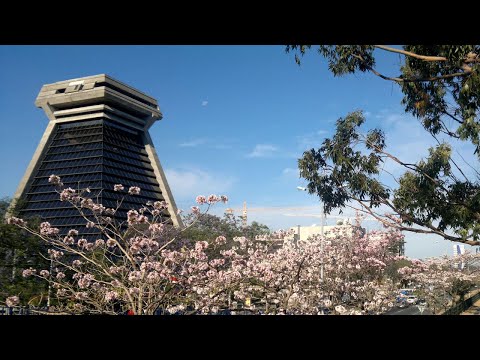 Alfredo Aguilar, gerente asociado División Contratación Pública CGR, R-DCP-00049-2025