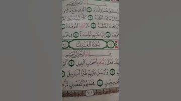 ما معنى طيرا ابابيل #سورة #الفيل