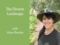 Session 196  the diverse landscape with alyce bender