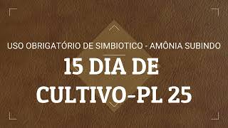 15  DIA DE CULTIVO PL25 VÍDEO 19/32