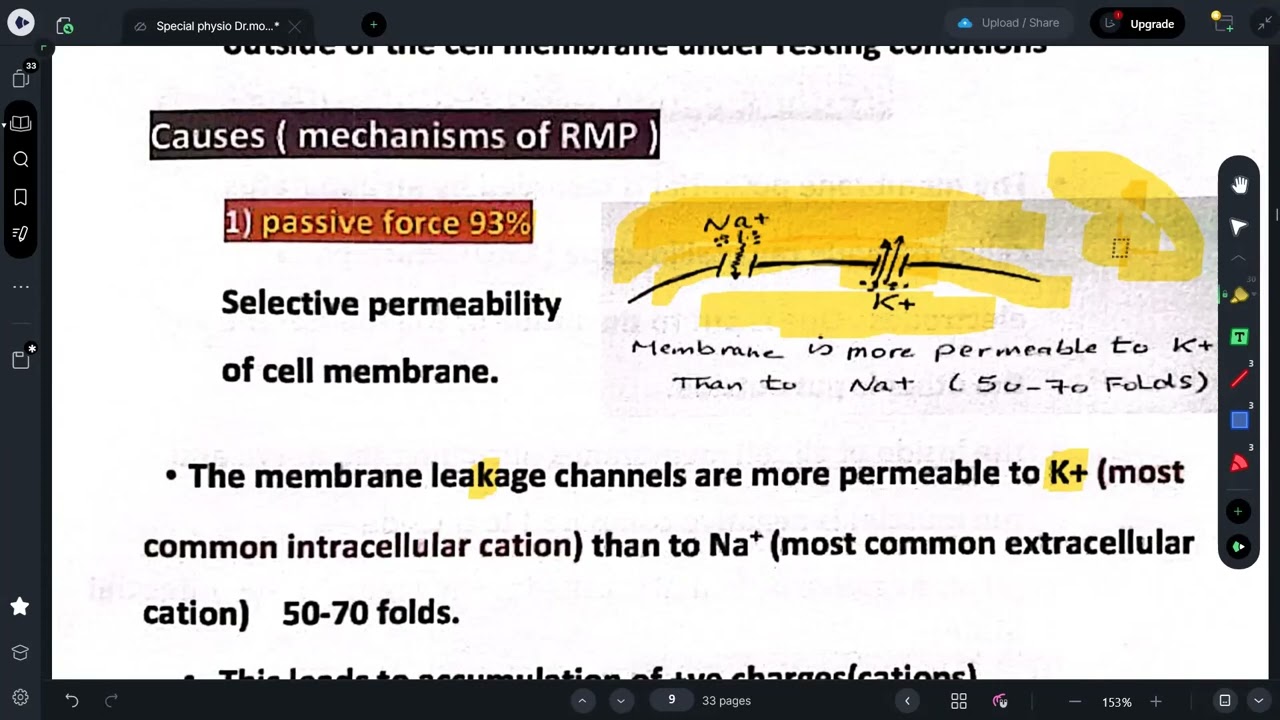 Nerve (physiology revision)
