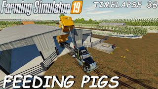 Tüm Domuzlarımız Besliyorum Farming Simulator 19 Nebraska Haritası