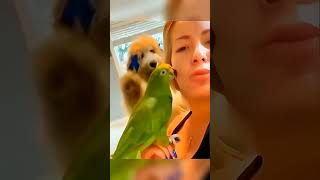 😂 USA Virals funny tiktok videos #FunnyTikToks #virals #funny
