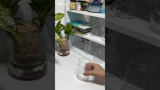 Taro Latte #beverage #barista #taro #latte #enjoy #hobby #recipe #relaxing