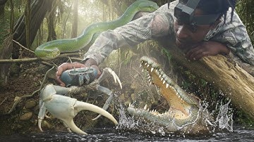 hunting Giant crabs Catch & Cook on the beach