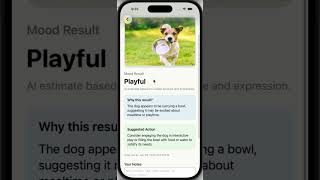 MoodyPets Demo - iOS Swift Programming Final Project