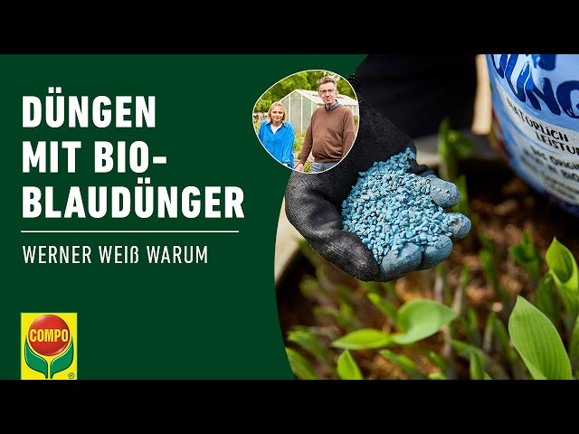 Gartenpflanzen dngen - mit dem nachhaltigen Bio-Blaudnger