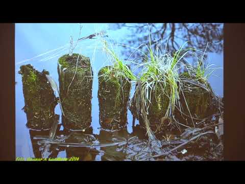 “Kanalen,” published by Sandvikens Vänner, gives the watercourse a separate place in this three-video selection. The verified upload runs 58:57, substantially longer than the other two items, and its title points directly to the channel that crosses central Sandviken. That makes it a distinct thematic counterpoint to a housing-focused film and a sports-history clip. Municipal records explain why the canal was dug, how its use changed, and why it is now part of stormwater management rather than a bathing place. The video title alone does not confirm present water conditions or a walking route; use the municipal information for those practical questions.