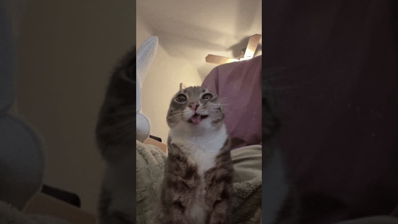 happy new years! #neptunestypebeat #flstudio