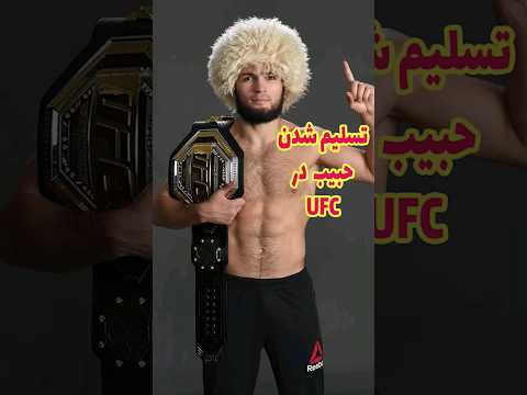 شکست حبیب در یو اف سی    