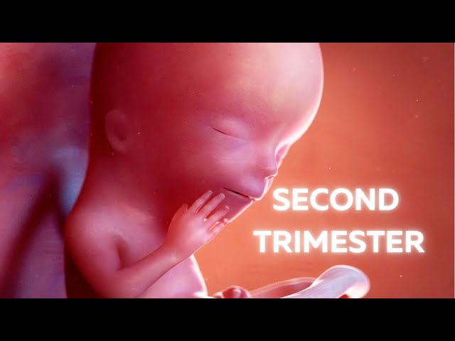 Dr. Namrata Kshatriya-Obstetrics & Gynecology