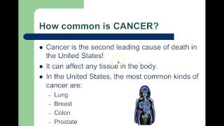 Cell Cycle and Cancer