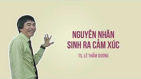 TS Lê Thẩm Dương - Quản trị cảm xúc để thành công - Bài 2