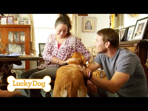 Lily & Eva | Lucky Dog rescue dogs rock nyc