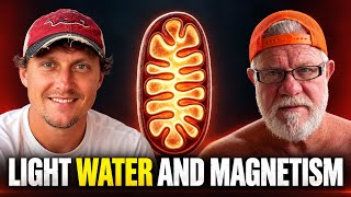 Dr. Jack Kruse: Circadian Biology Is Physics — Light, Water & Magnetism