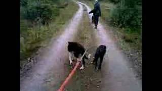 Samsjøen 08-09-2007