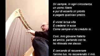 Vincenzo Zitello - PIUMA