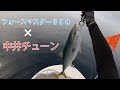 葉山で青物が釣れ出してるみたいなので【中井チューン】で攻めてみました
