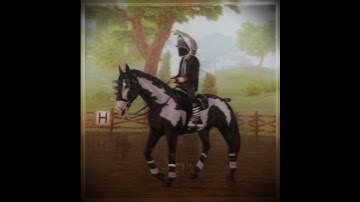 Simple Velocity~ //#blowup #edit #horse #sso #4k #starstable #viral #velocity #ssoedit