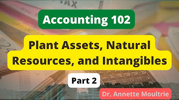 Plant Assets, Natural Resources, and Intangibles (Part 2)