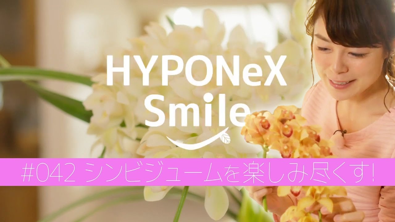 12月から開花時期 シンビジウムの育て方のポイントは 植物とあなたをつなぐplantia