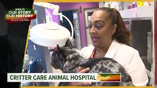 Critter Care Animal Hospital Spotlighting Black-Owned Houston-Area Businesses