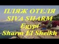 Пляж отеля SIVA SYARM 5*  Egypt  Sharm El Sheikh
