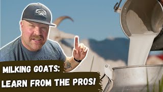 Ultimate Guide to Milking Goats - The Best Techniques Revealed!