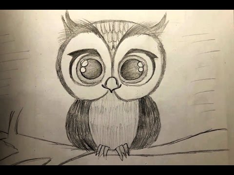 Cute Owls Clipart Owl Drawing - Owl Drawing - Free Transparent PNG Clipart  Images Download