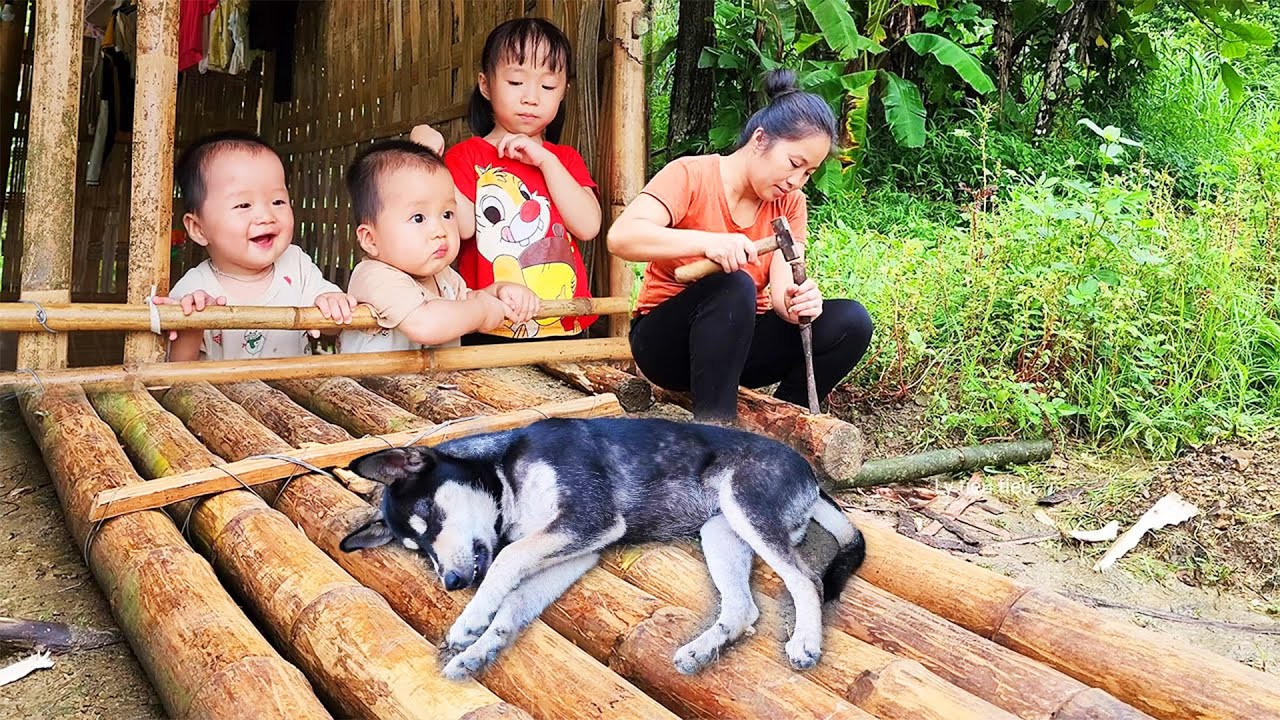 HEARTBREAKING MOMENT MOTHER'S DOG SICK, poor single mom of 3 ran away toxic relations and survival