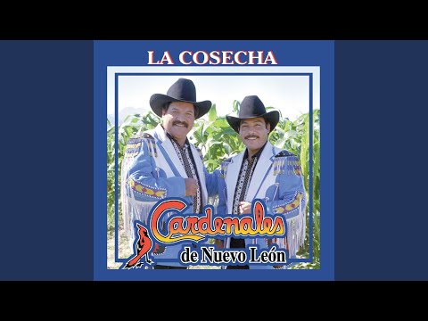Watch the video for Te quiero con locura