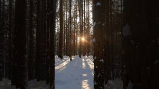 Хруст снега ❄😻 асмр