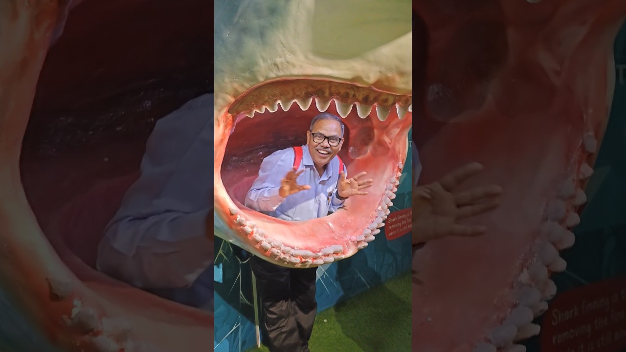 The National Aquarium|| family Fun Time 