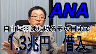 ANA 1.3兆円の資金調達 政府保証依頼 内容と理由を徹底解説