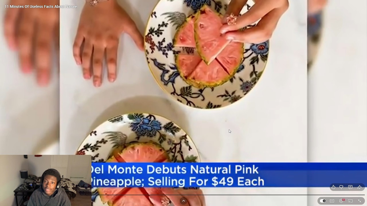 11 Minutes Useless Facts About Nature Reaction!!