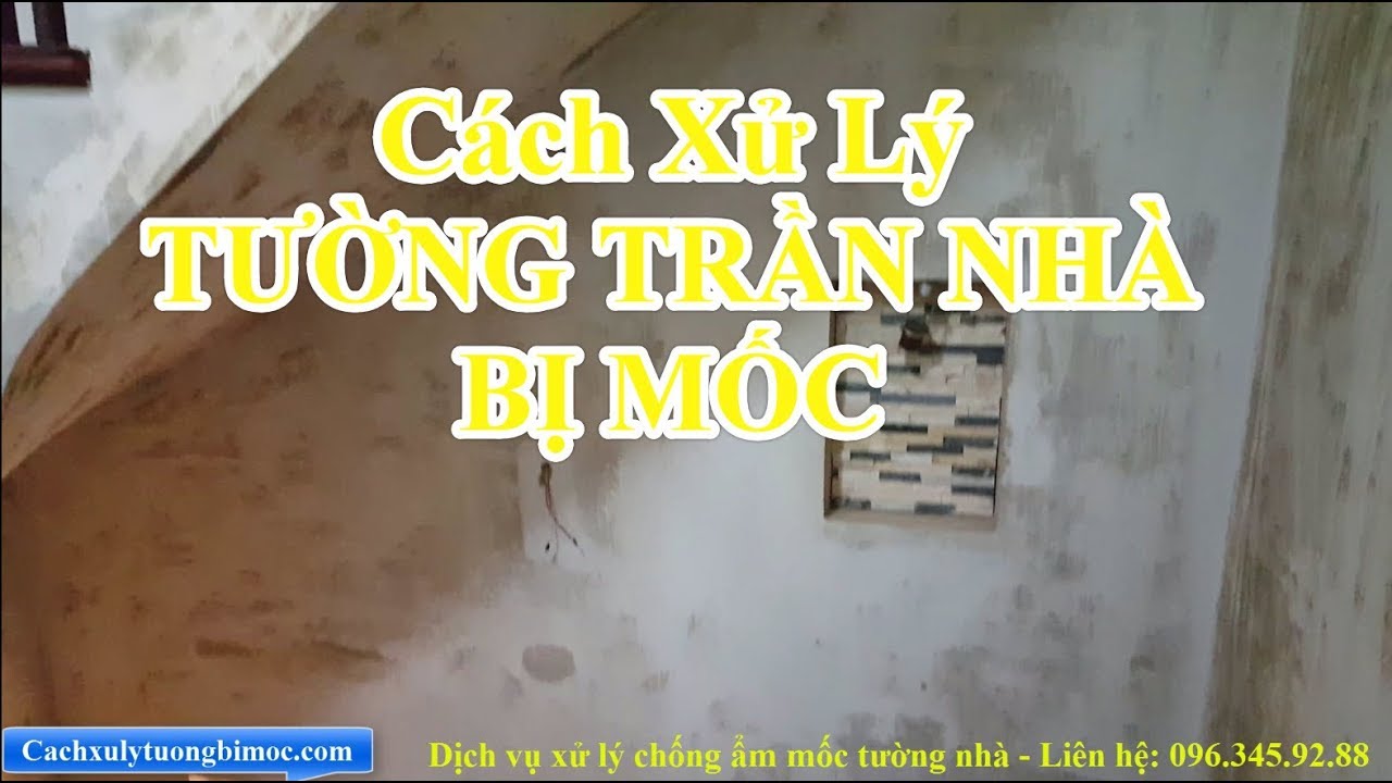 Cách Xử Lý Tường Nhà - Trần Nhà Bị Nấm Mốc Đơn Giản -... - youtube